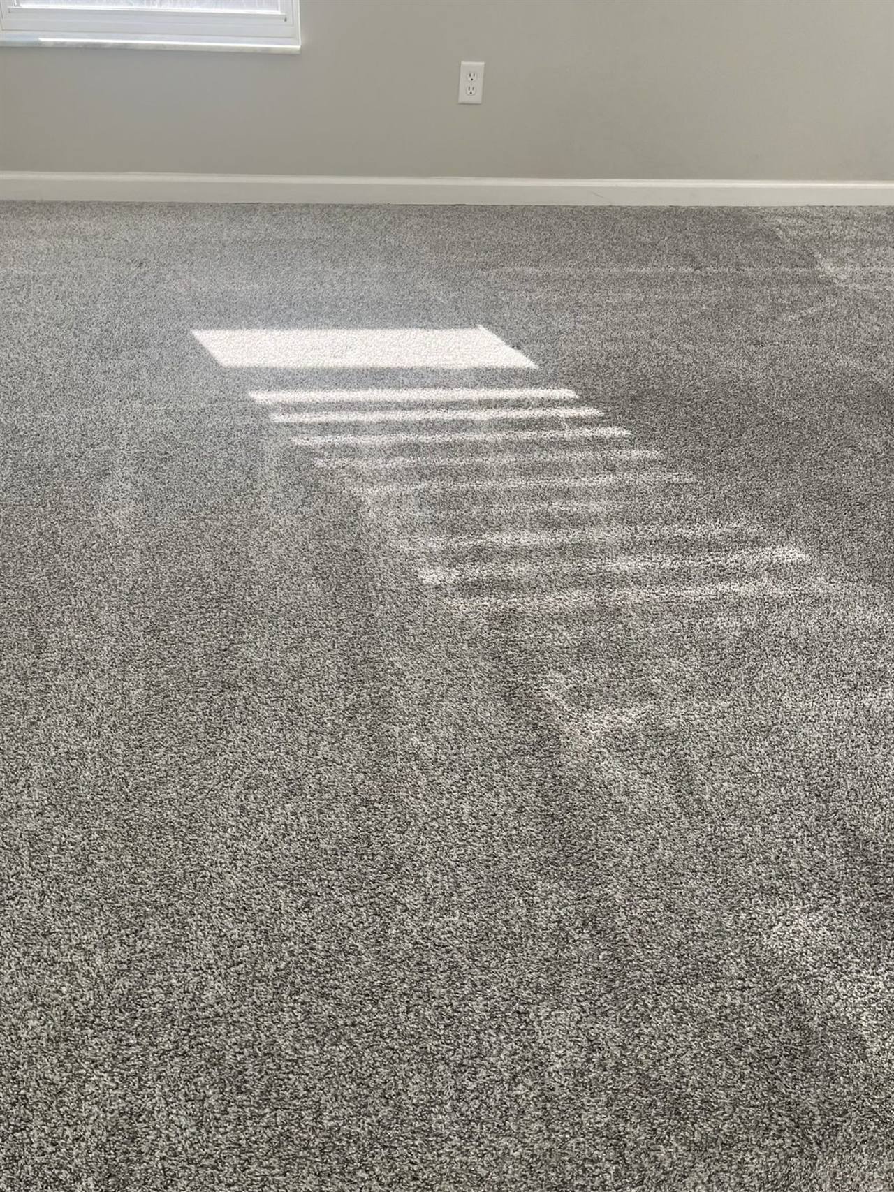 Freshly extracted, clean carpet